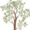 Tall Leafy Tree Wall Stencil | 3618 by Designer Stencils | Reusable Art Craft Stencils for Painting on Walls, Canvas, Wood |